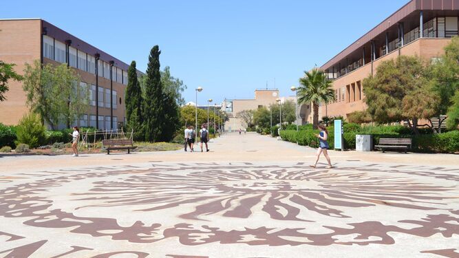 La Universidad de Almería coordina la alianza UNIGreen.