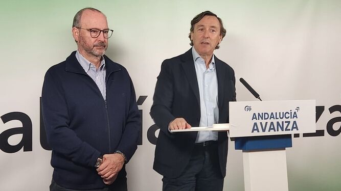 Los senadores del PP por Almería, Luis Rogelio Rodríguez-Comendador y Rafael Hernando