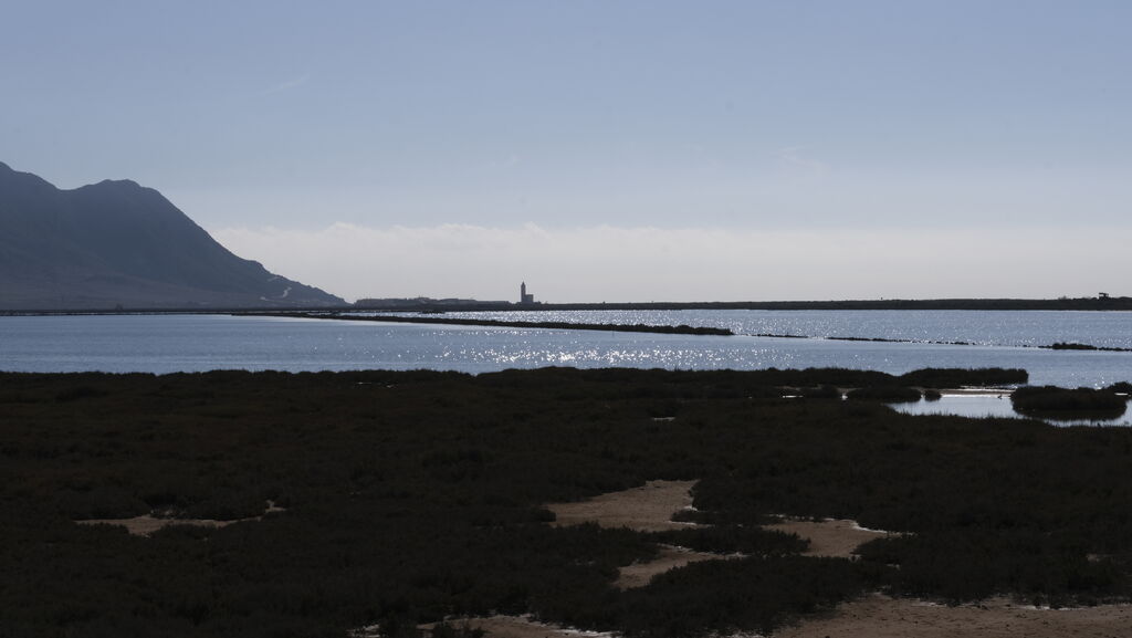 Im&aacute;genes de las Salinas de Cabo de Gata con agua otra vez
