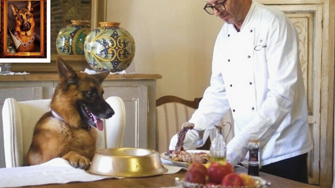 Gunther, el perro más rico del mundo con 400 millones de dólares en su poder y un chef privado