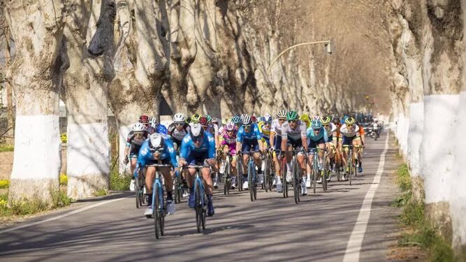 La carrera reunirá a 9 de los 18 equipos UCI World Team 2023
