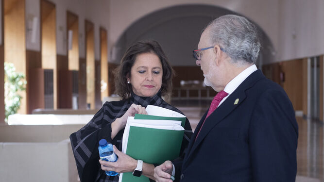 La consejera de Salud y Consumo, Catalina García, junto al gerente del SAS, Miguel Ángel Guzmán en el Parlamento de Andalucía.