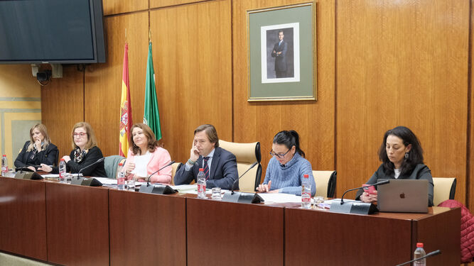 Comisión en el Parlamento andaluz