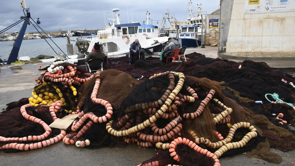 Varios pescadores arreglan sus redes en el puerto de Almería.