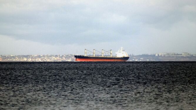 Un barco con productos agrícolas en el mar Negro.