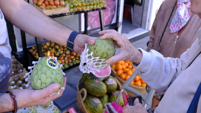 Cuatro fruterías de Almería con sabor a huerto