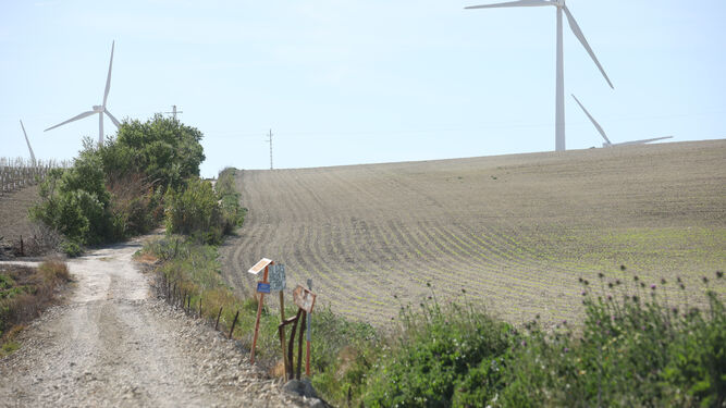 Una parcela agrícola con la tierra completamente seca en la carretera de Rota.