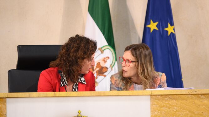 María Vázquez y Ana Martínez Labella intercambian impresiones en la sesión plenaria