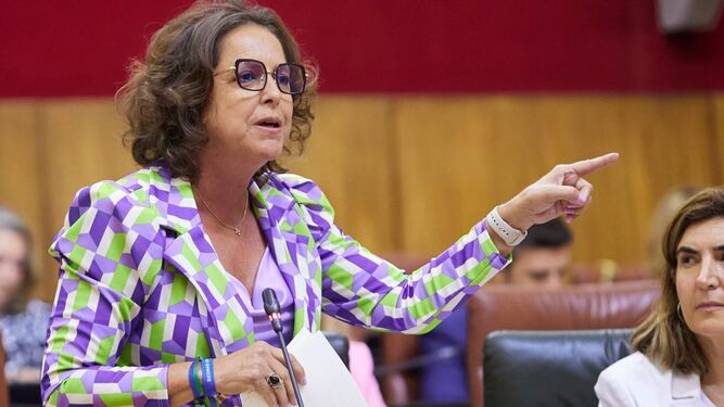 La consejera de Salud, Catalina García, durante el pleno celebrado en la mañana de ayer en el Parlamento de Andalucía.