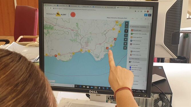 En la aplicación se puede ver las notificaciones de mosquito tigre confirmadas que tiene la provincia de Almería.