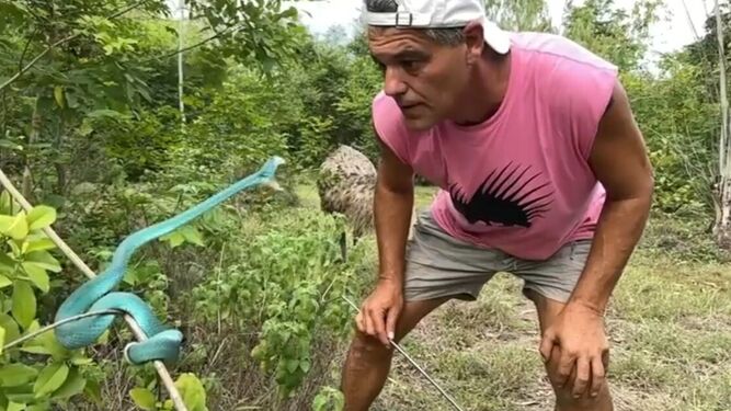 Frank Cuesta atacado por la víbora azul que le ha causado una grave picadura
