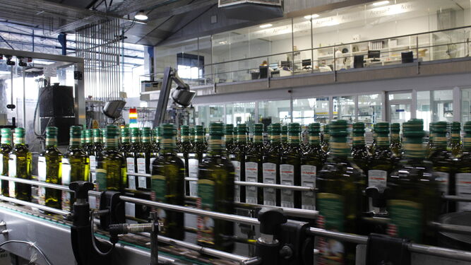 Botellas de aceite en producción.