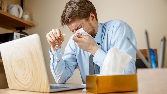 Alergias, ¿cuáles son las más comunes?