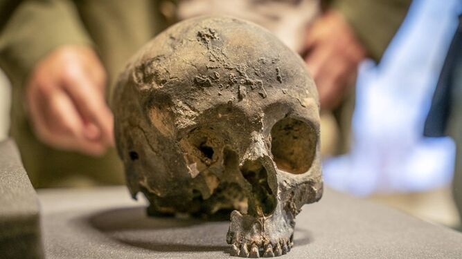 Cráneo encontrado entre los restos  funerarios del yacimiento único de La Garma