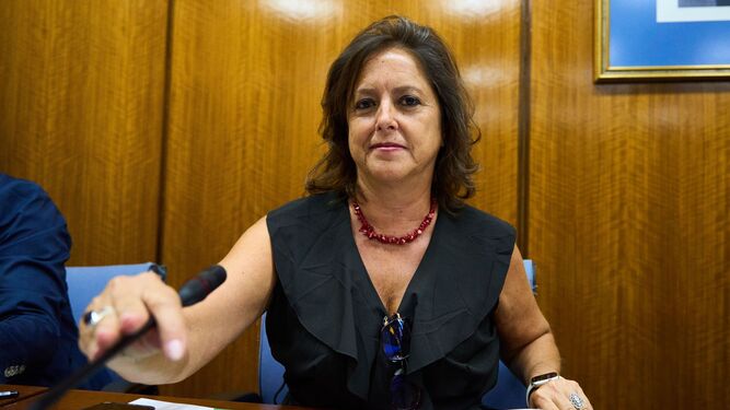 La consejera de Salud, Catalina García, en una comisión en el Parlamento de Andalucía.