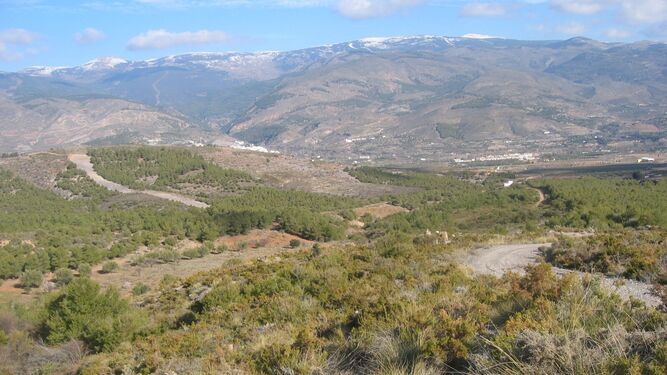 Montes de la Sierra de Gádor.