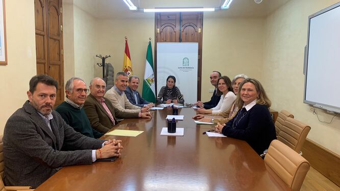 Imagen del encuentro del grupo asesor con la Junta de Andalucía.
