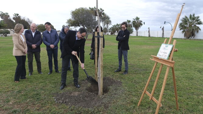 El rector de la Universidad de Almería, José J. Céspedes, se dispone a plantar un árbol a la entrada del campus.