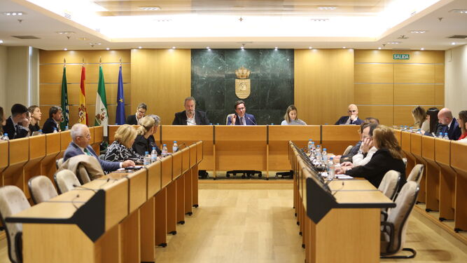 Imagen de archivo de un Pleno del Ayuntamiento de El Ejido.