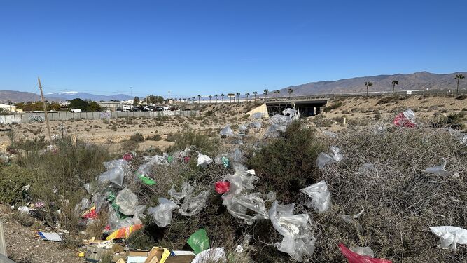 Entorno del mercadillo de El Alquián con bolsas de plástico tras su celebración el domingo