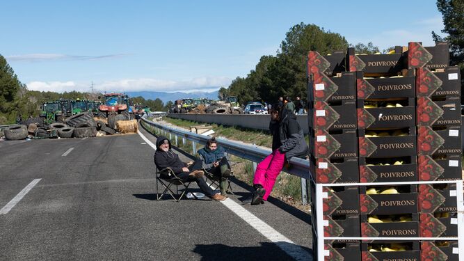 Cajas de pimientos que los agricultores sacaron de los camiones por no ser de origen español en una de las protestas.