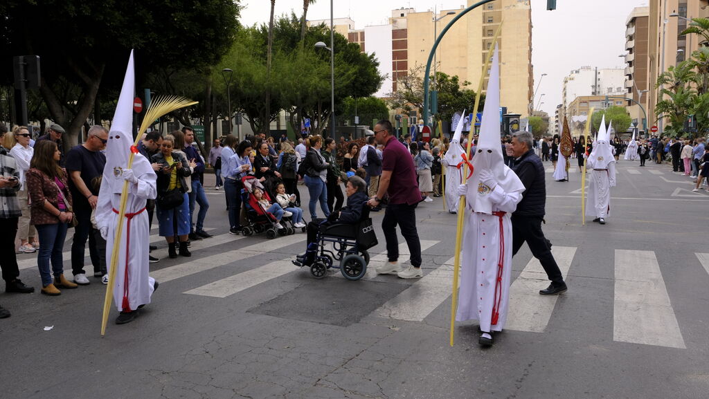 La Borriquita procesiona por las calles de Almer&iacute;a, en im&aacute;genes