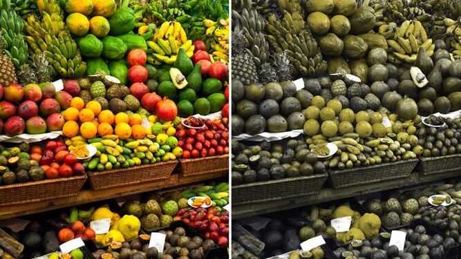 A la izquierda fruta como la ve alguien sin daltonismo y a la derecha así ven los daltónicos