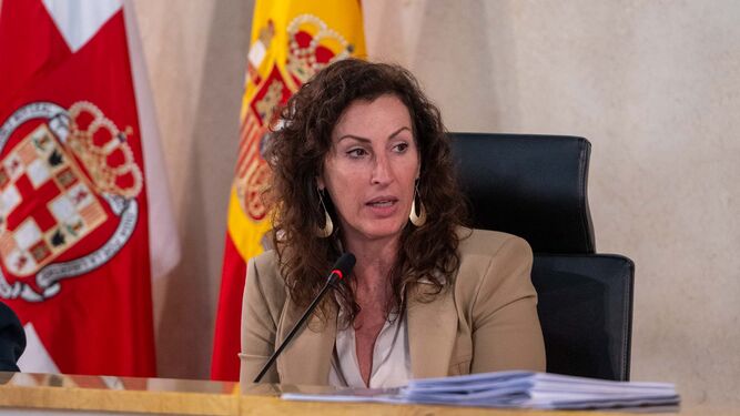 La alcaldesa de Almería elevará la medida fiscal al próximo Pleno